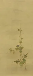 Bambu e glórias da manhã, período Edo, meados do século XVII ao início do século XVIII (tinta e cor na seda)